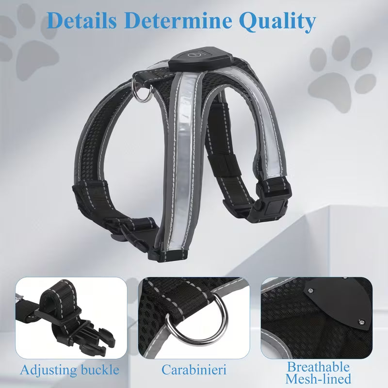 Led Dog Harness 8-Colors