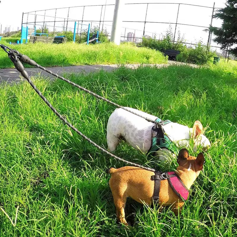 Reflective Dual Dog Leash