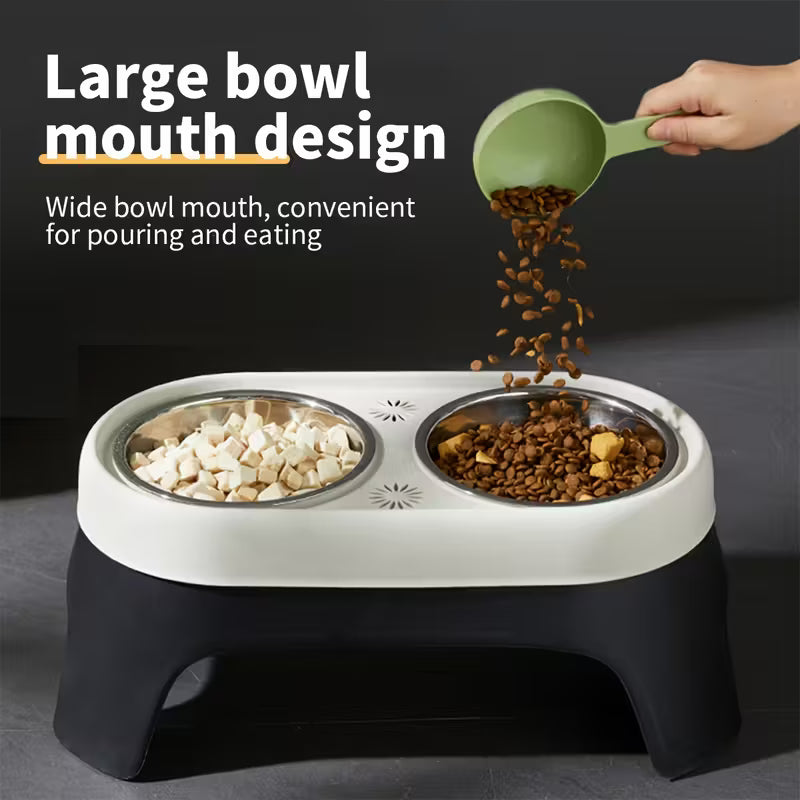 Modern Raised Pet Feeder with Dual Bowls