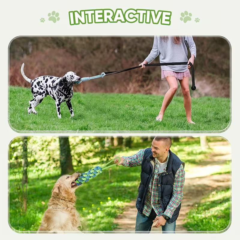 Outdoor Dog Tug Toy