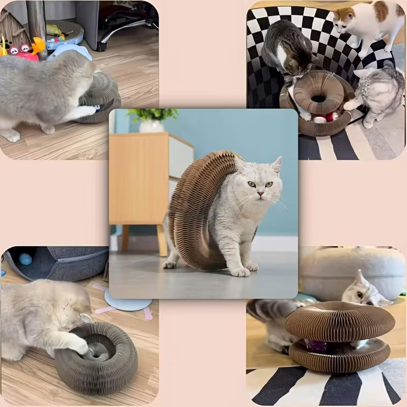 Accordion Cat Scratcher Toy