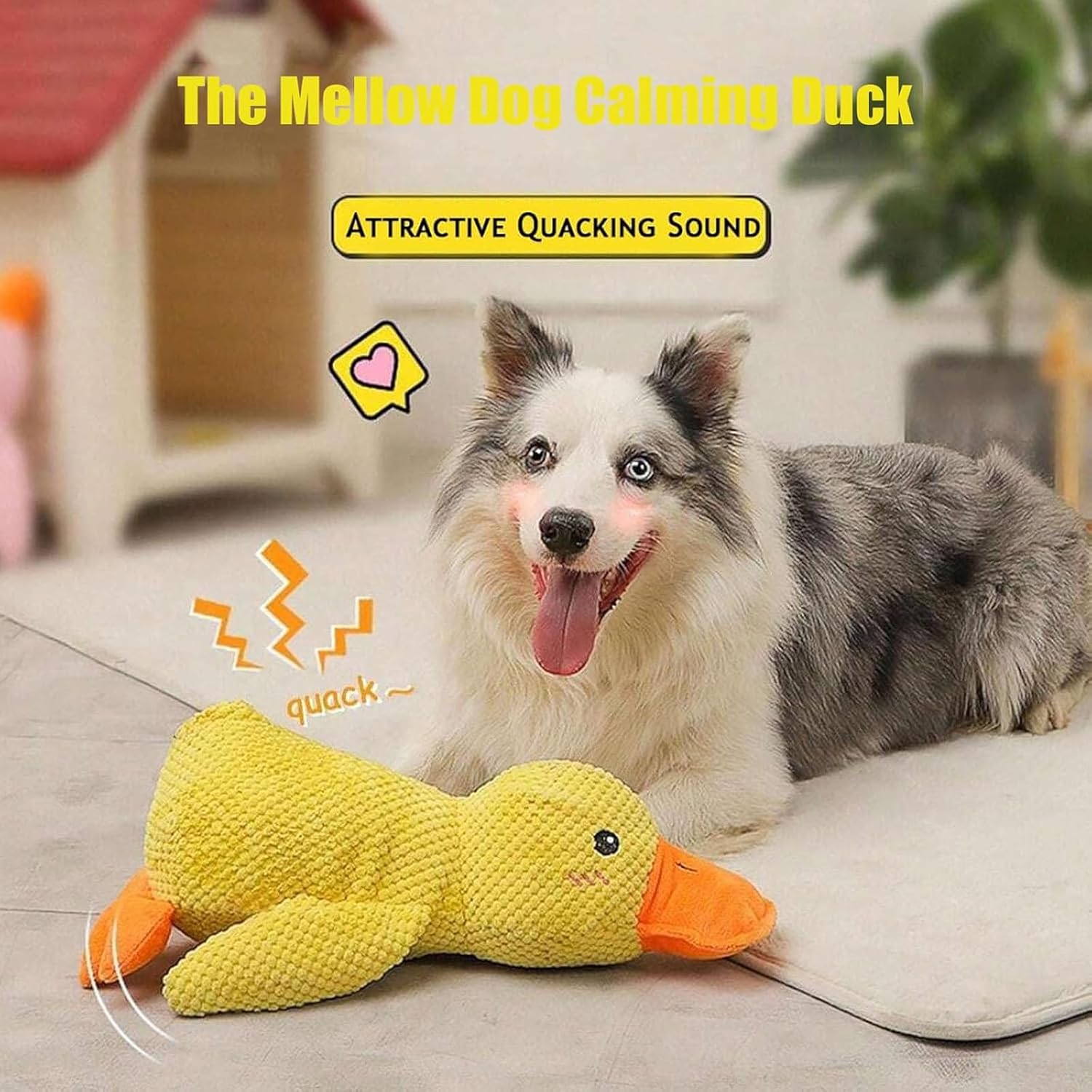 Dog Calming Duck