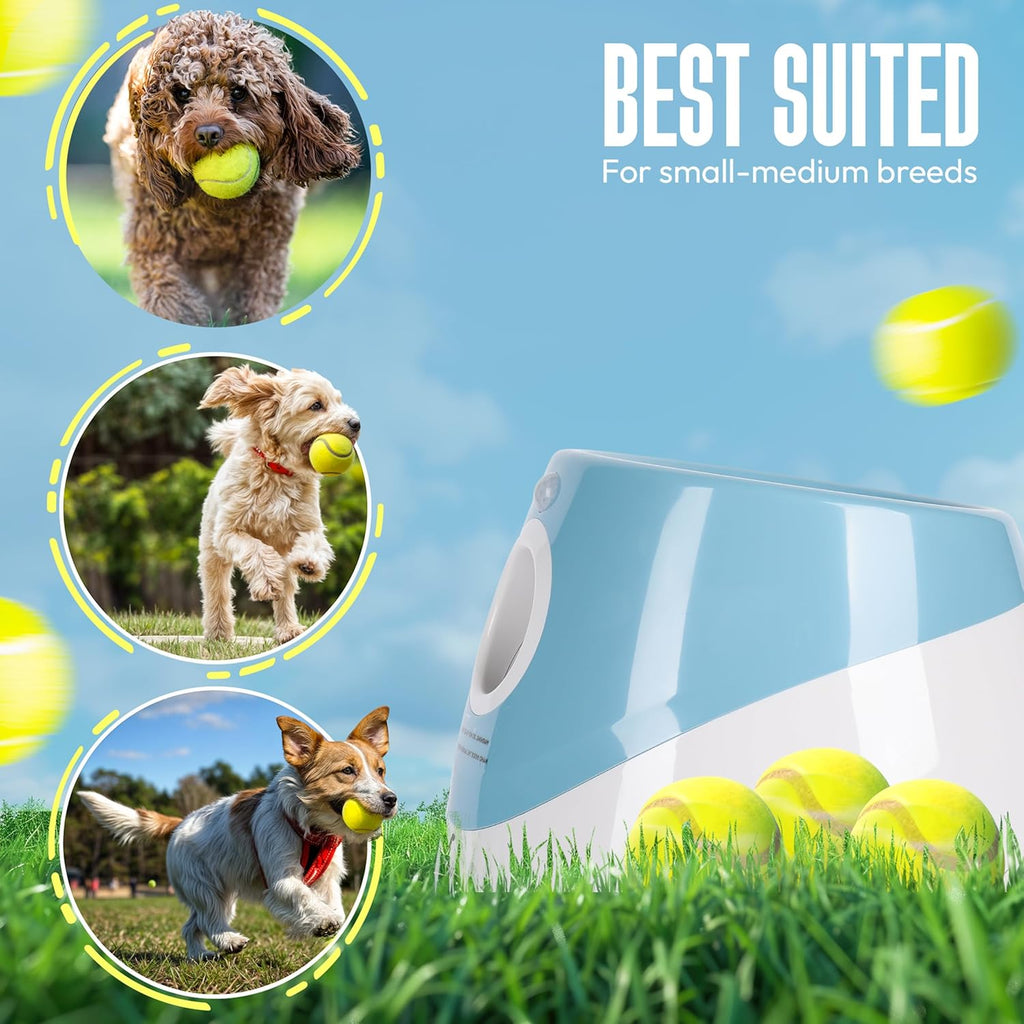 Automatic Dog Ball Launcher