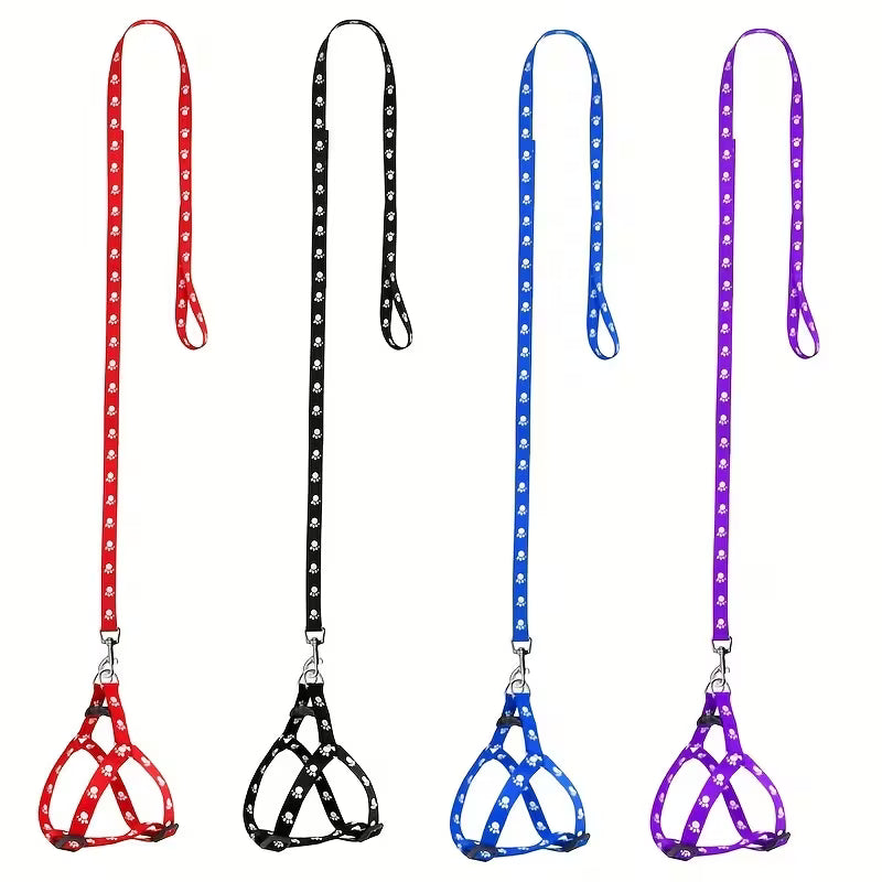 Paw Design Dog Harness & Leash
