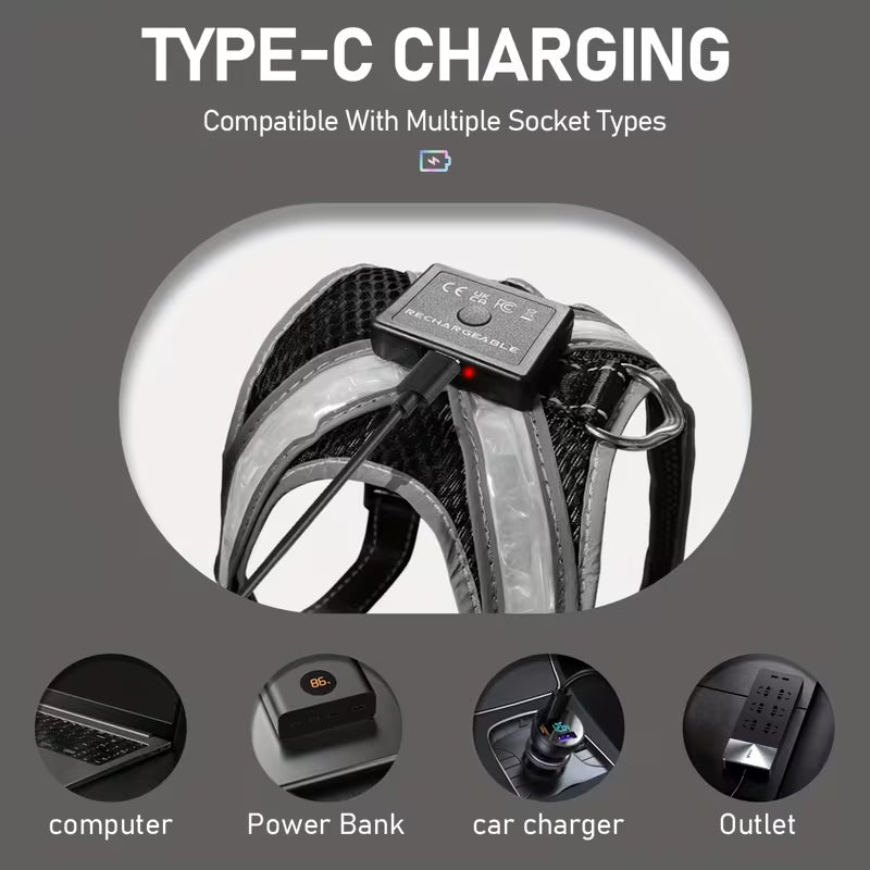 Led Dog Harness 8-Colors