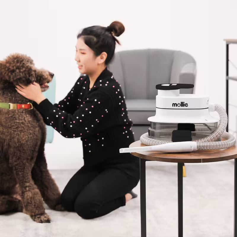 5 in 1 Pet Grooming Kit