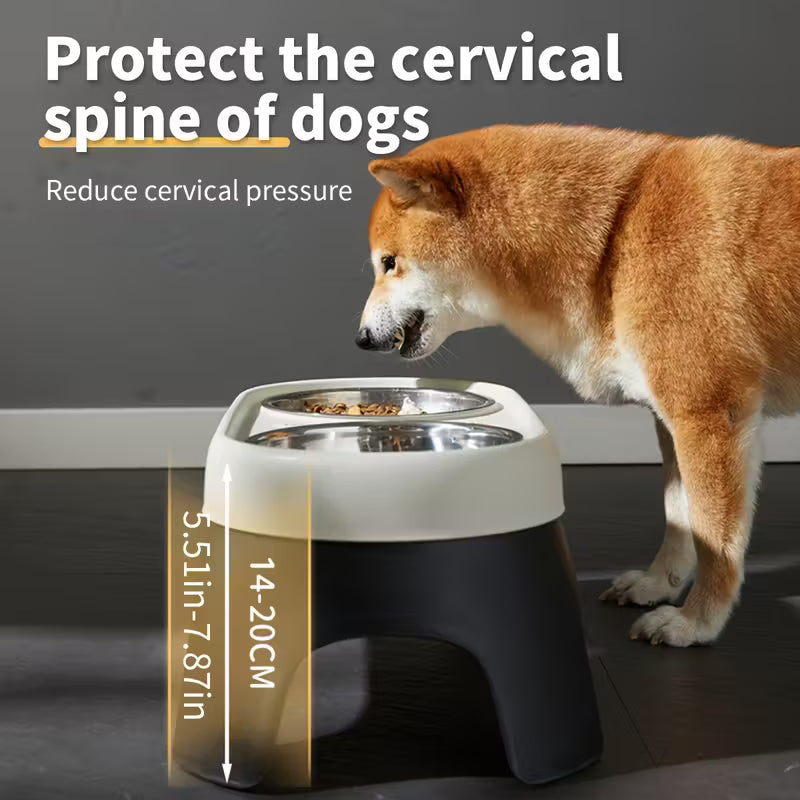 Modern Raised Pet Feeder with Dual Bowls