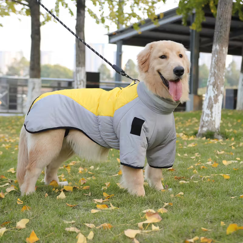 Thick Winter Dog Jacket