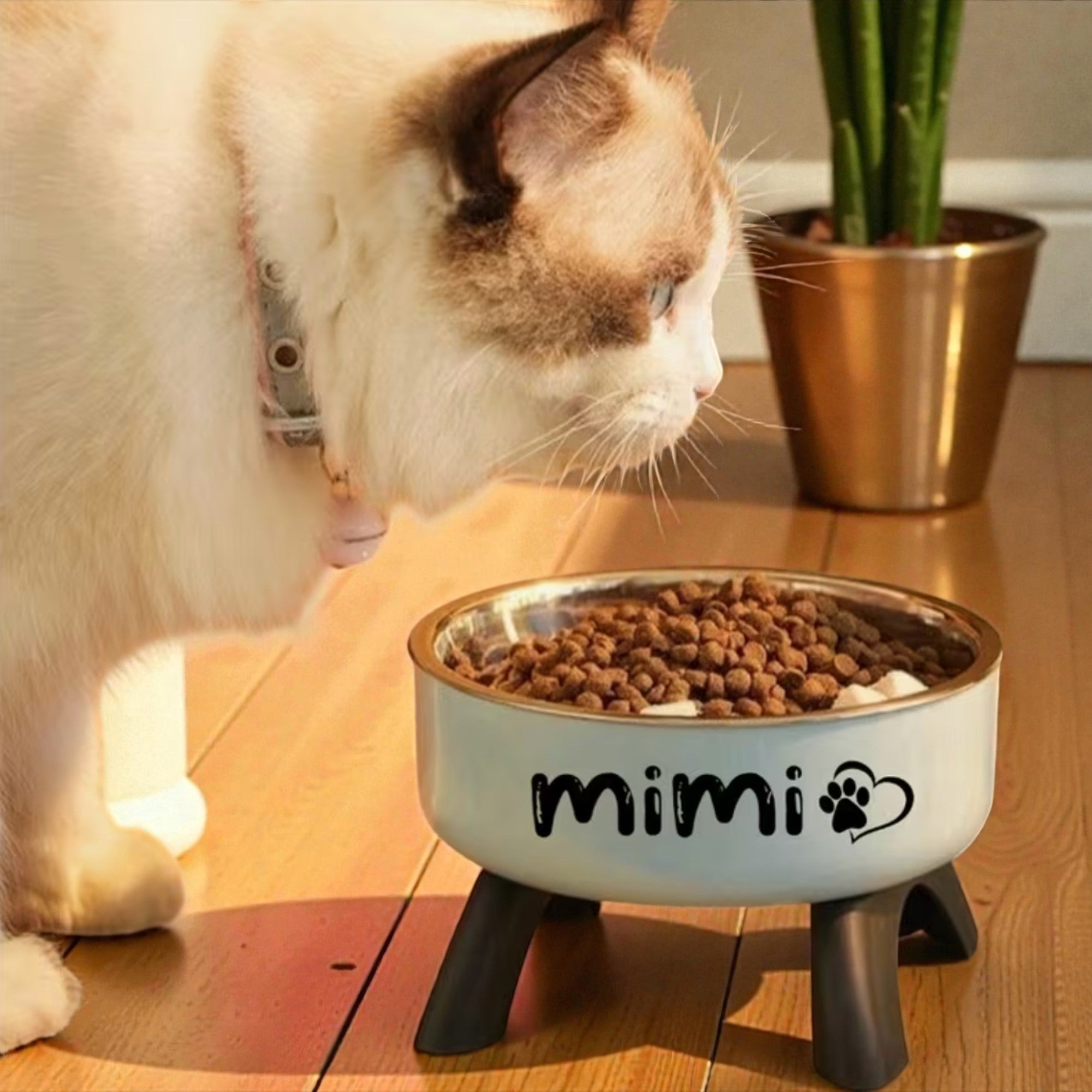 Personalized Pet Bowl