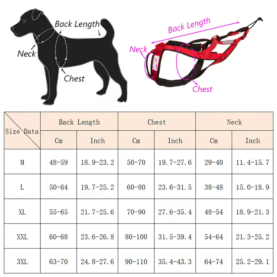 Reflective Running Harness for Big Dogs