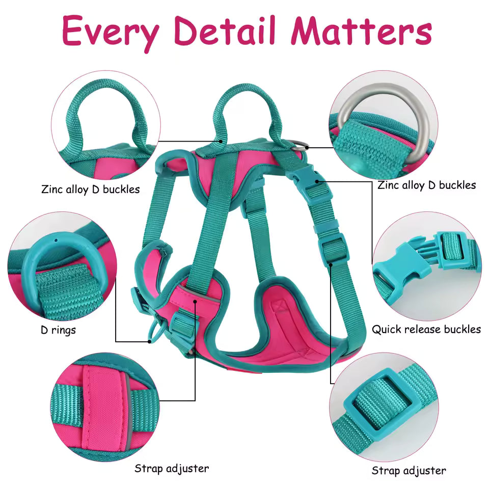 Colorful Dog Harness