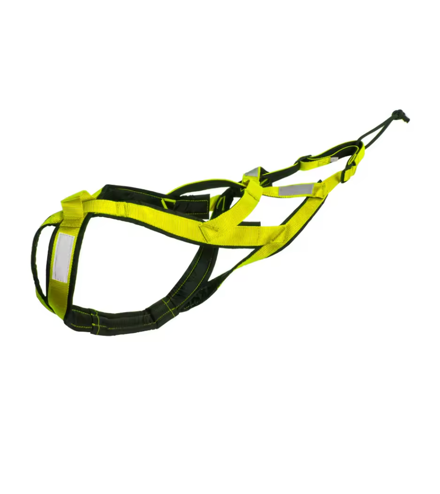 Reflective Running Harness for Big Dogs