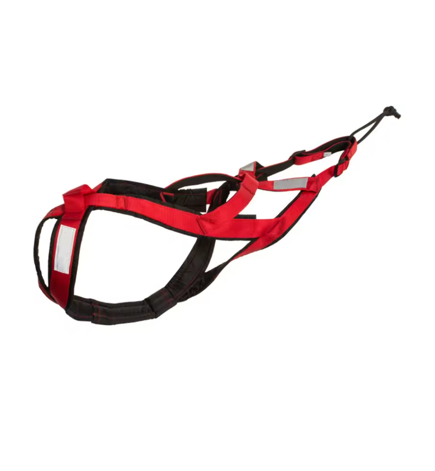 Reflective Running Harness for Big Dogs