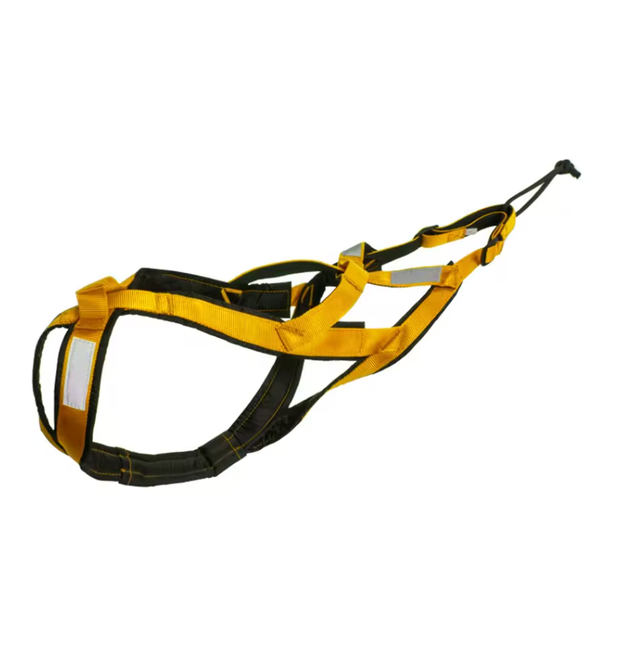 Reflective Running Harness for Big Dogs