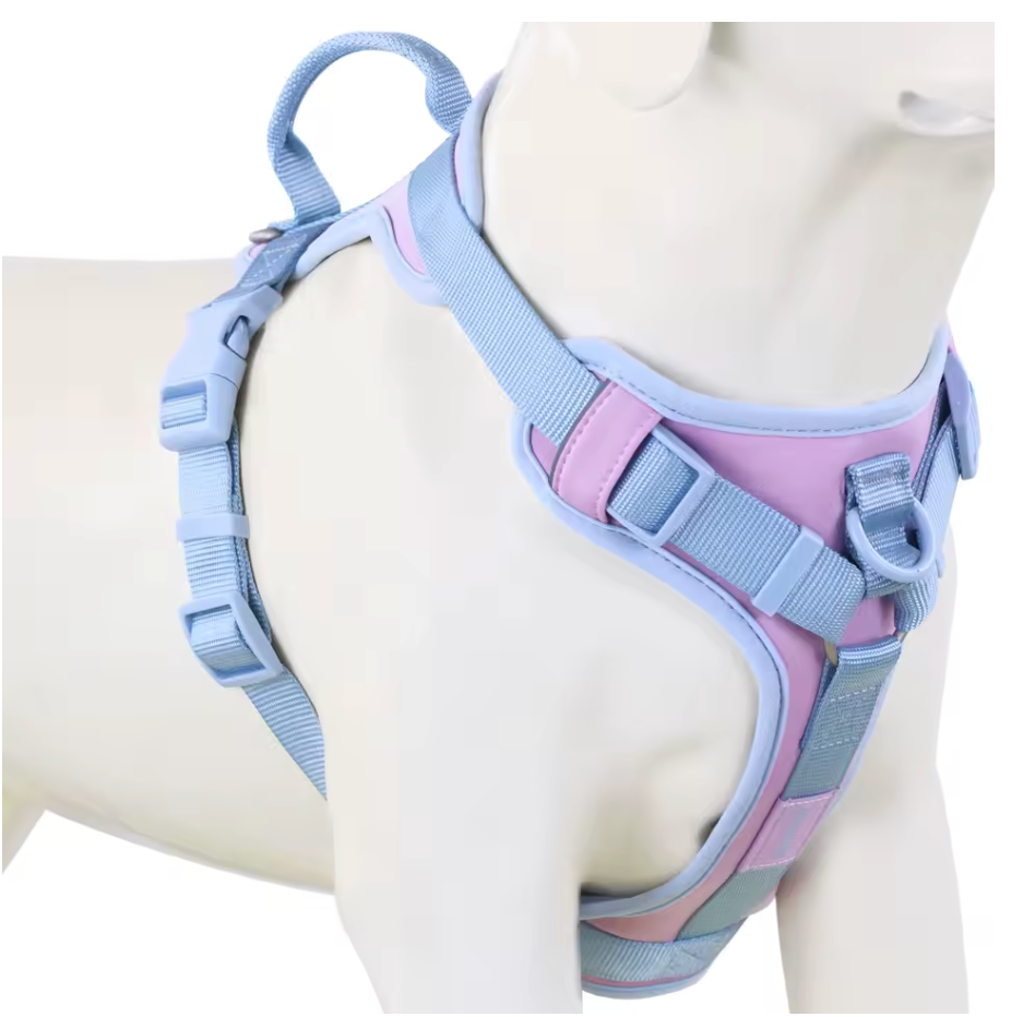 Colorful Dog Harness