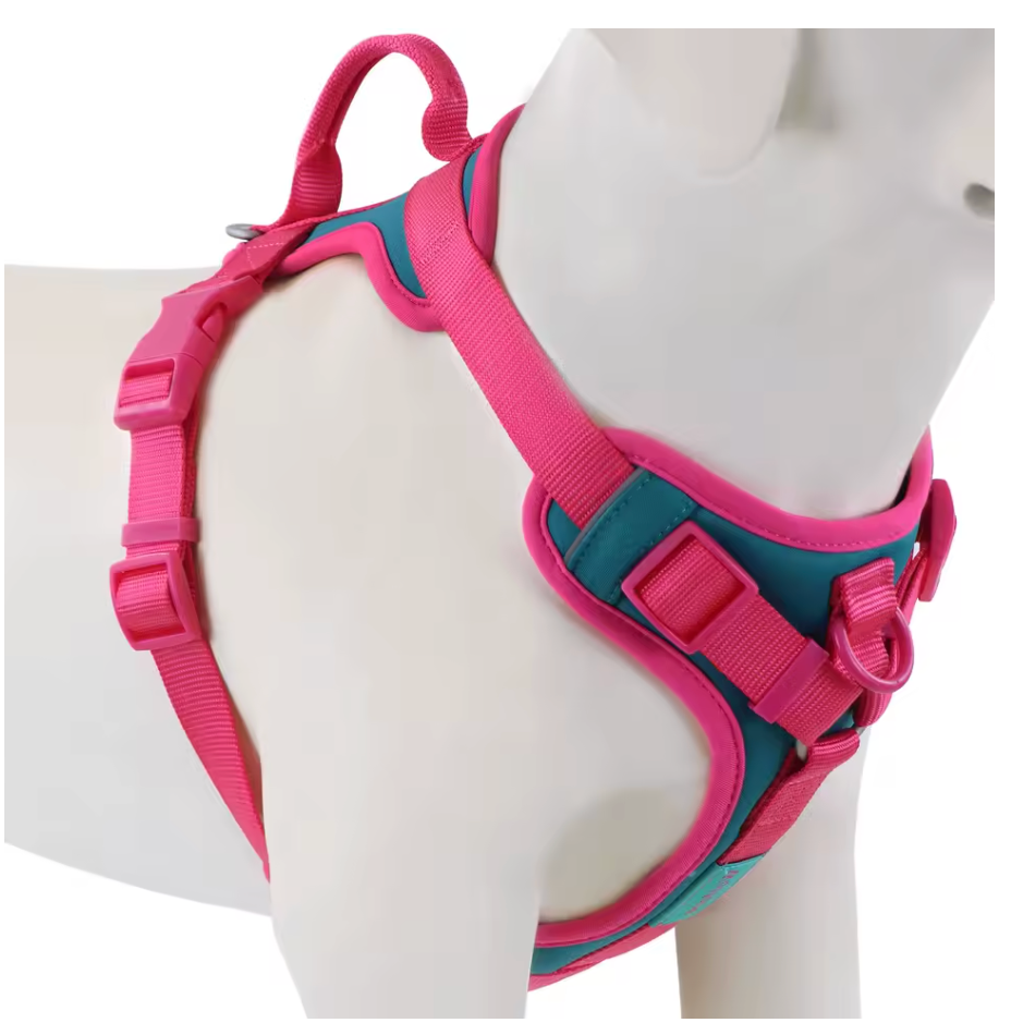Colorful Dog Harness