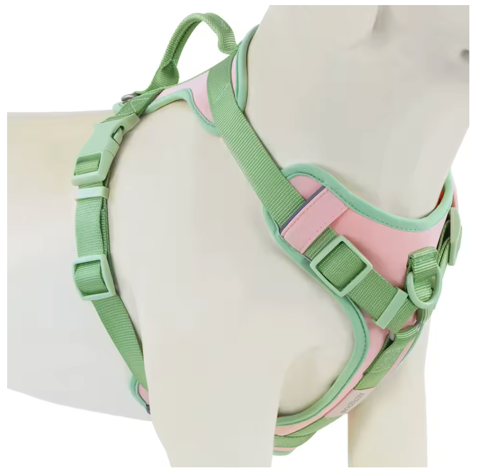 Colorful Dog Harness