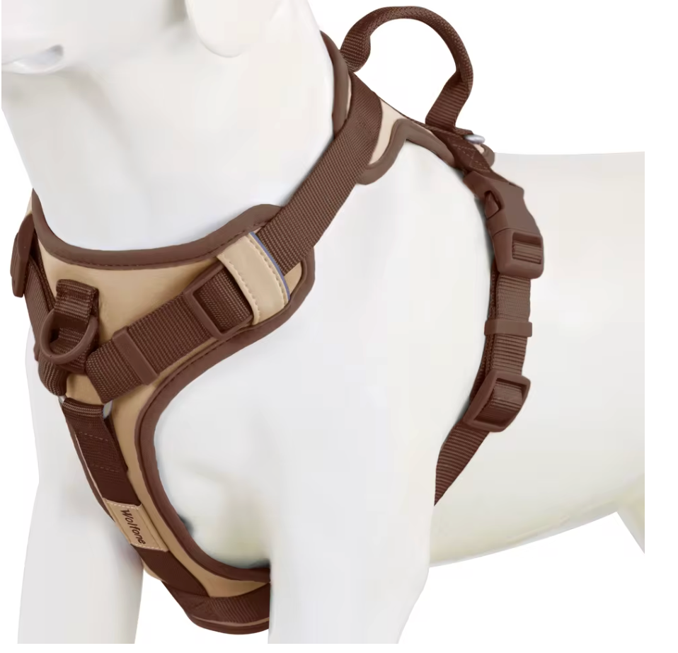 Colorful Dog Harness