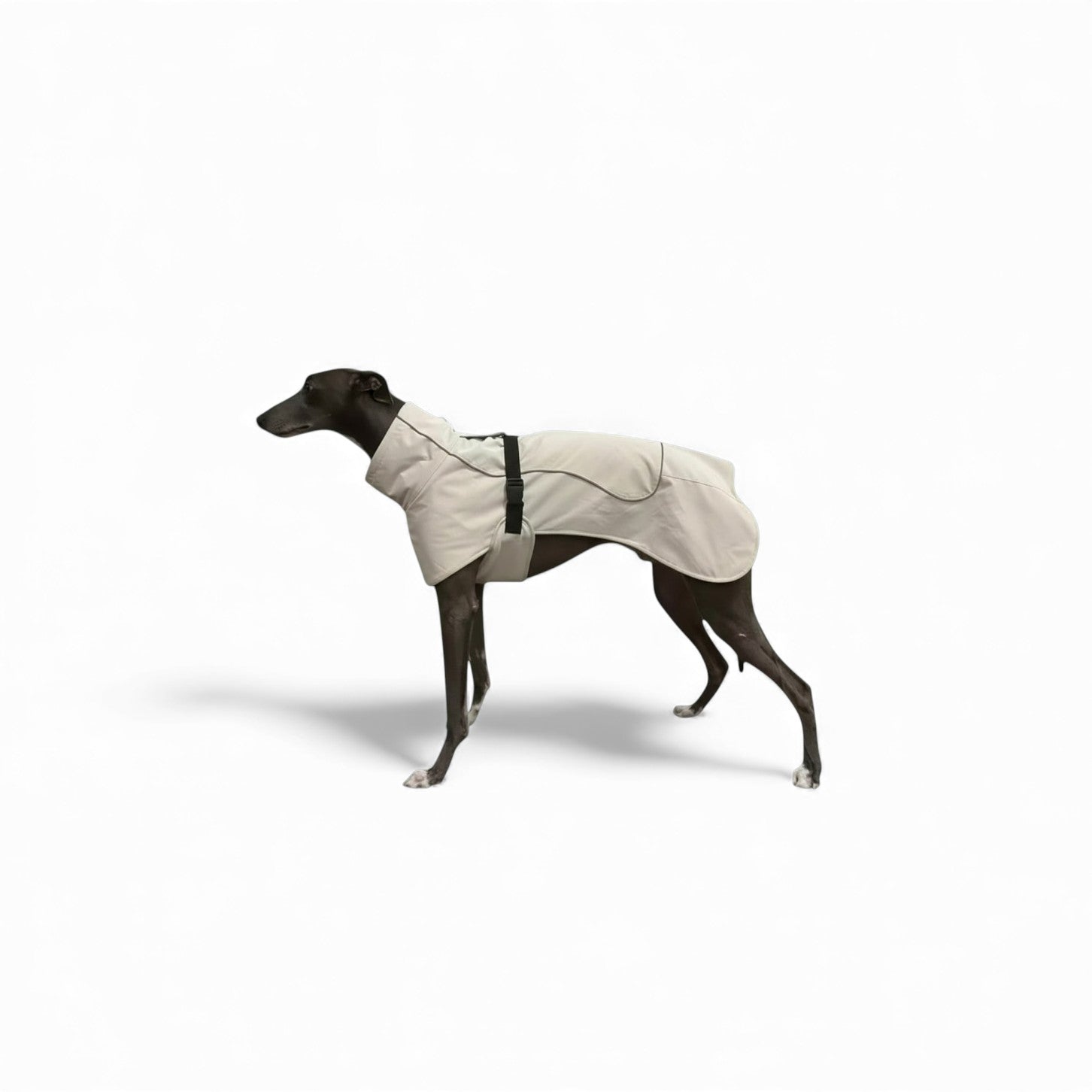 Waterproof Pet Jacket – Weatherproof Outerwear