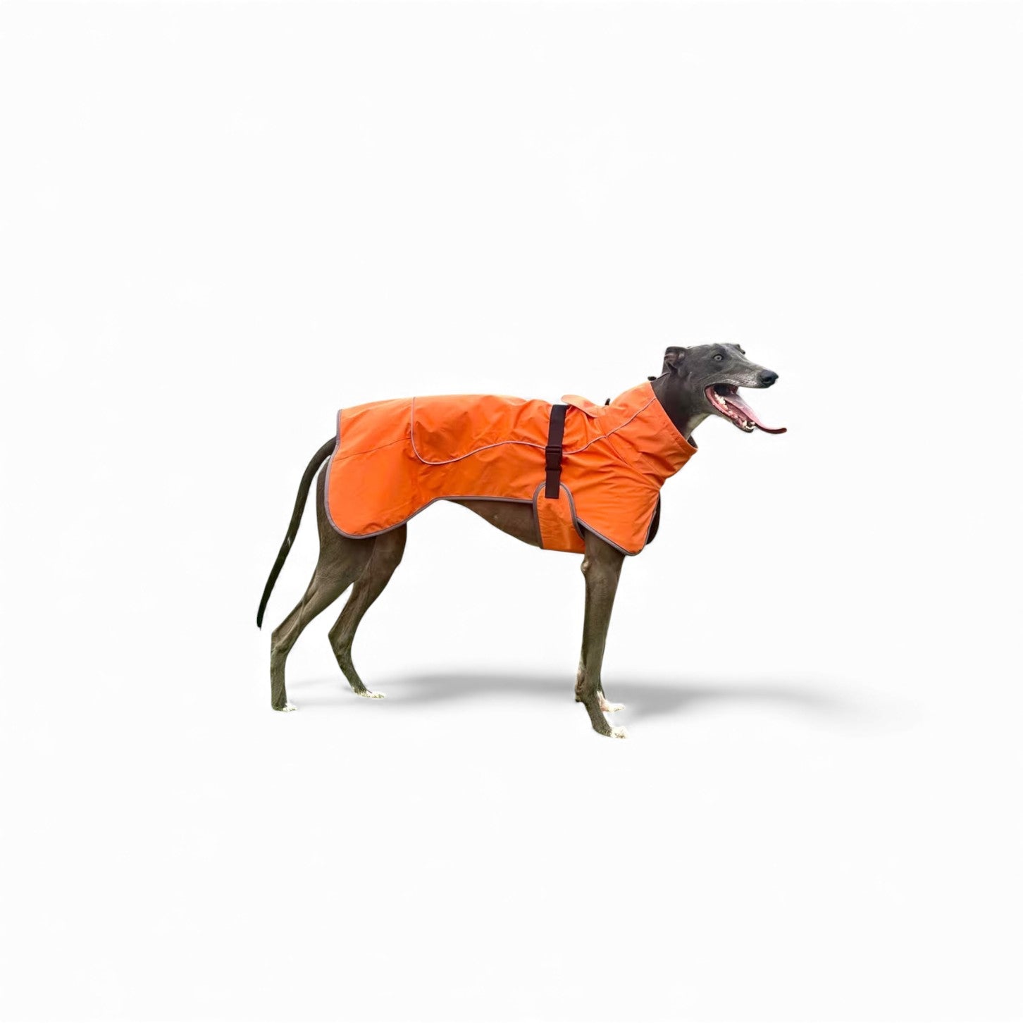 Waterproof Pet Jacket – Weatherproof Outerwear