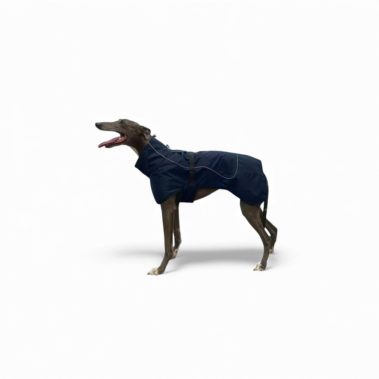 Waterproof Pet Jacket – Weatherproof Outerwear
