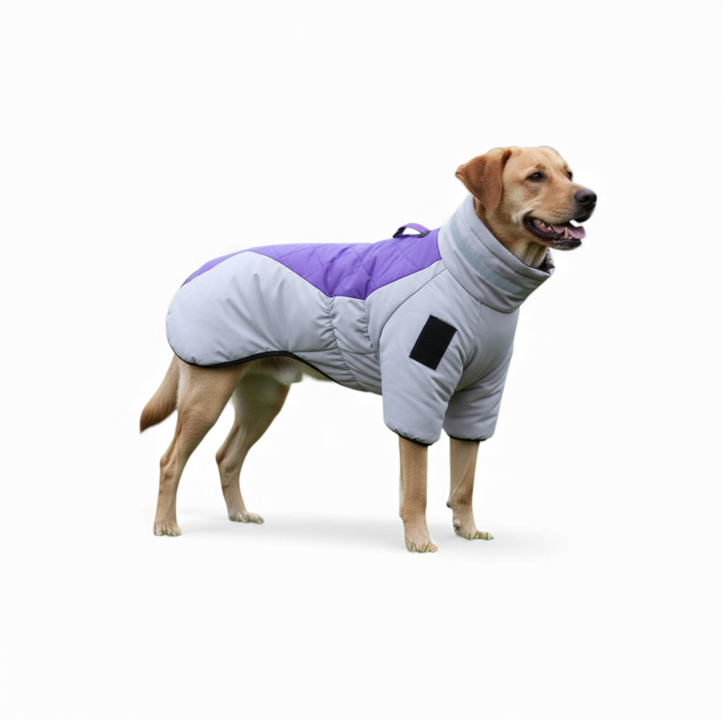 Thick Winter Dog Jacket