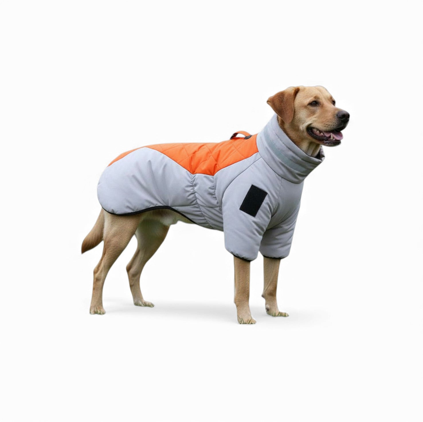 Thick Winter Dog Jacket