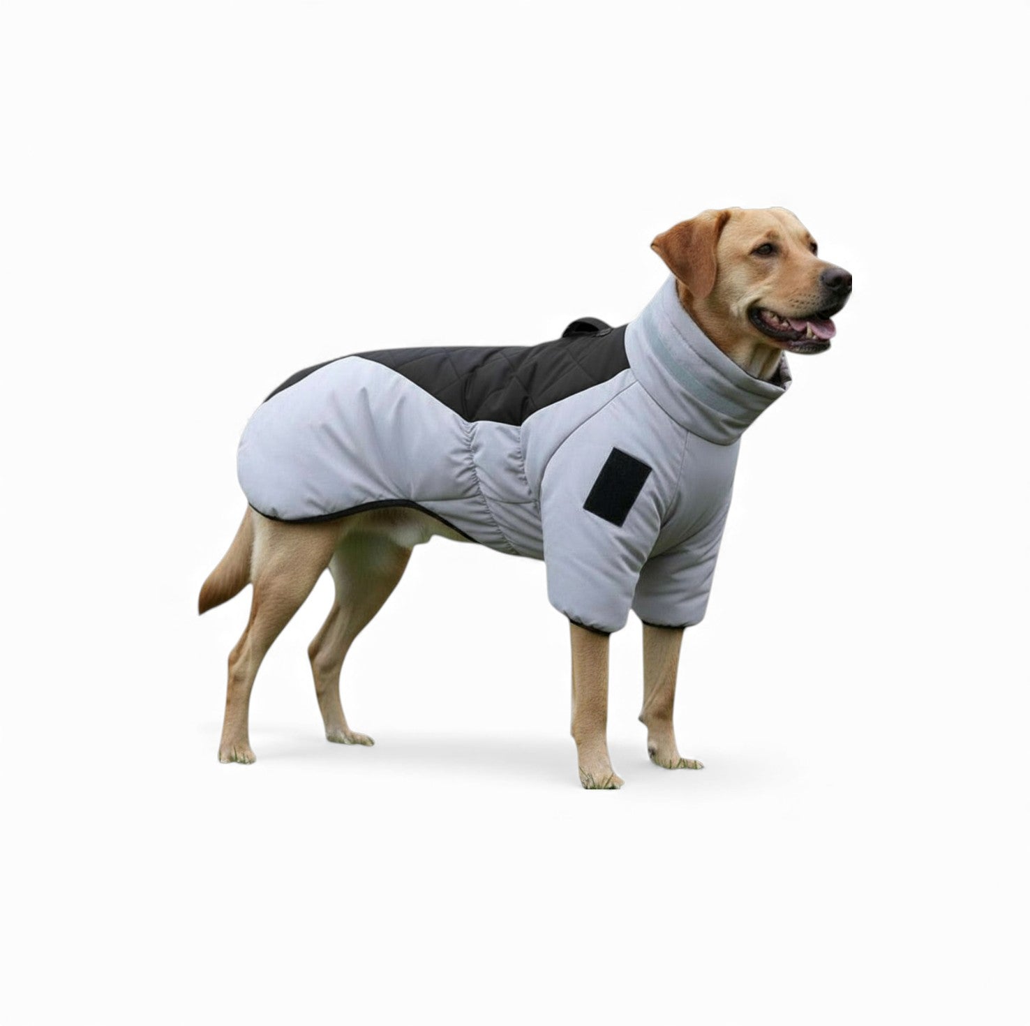 Thick Winter Dog Jacket