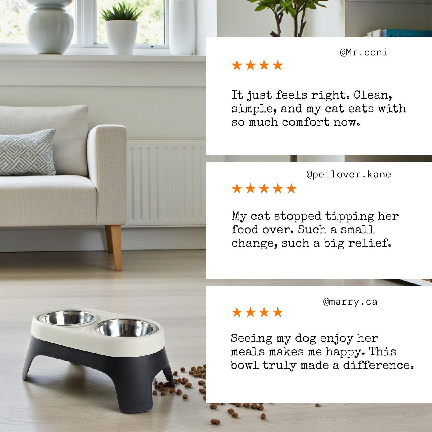 Modern Raised Pet Feeder with Dual Bowls