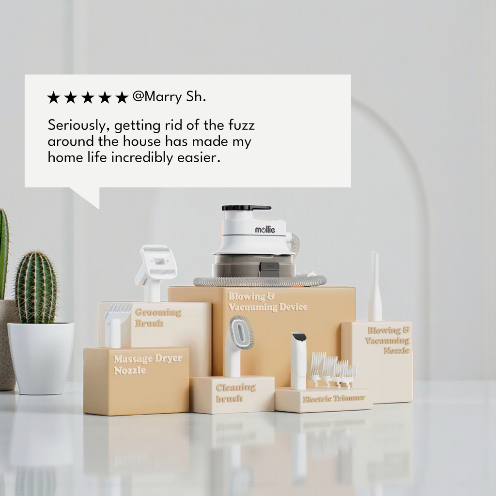 5 in 1 Pet Grooming Kit