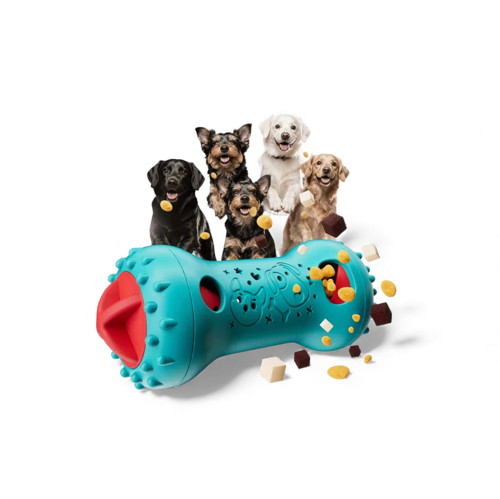 Interactive Dog Bone