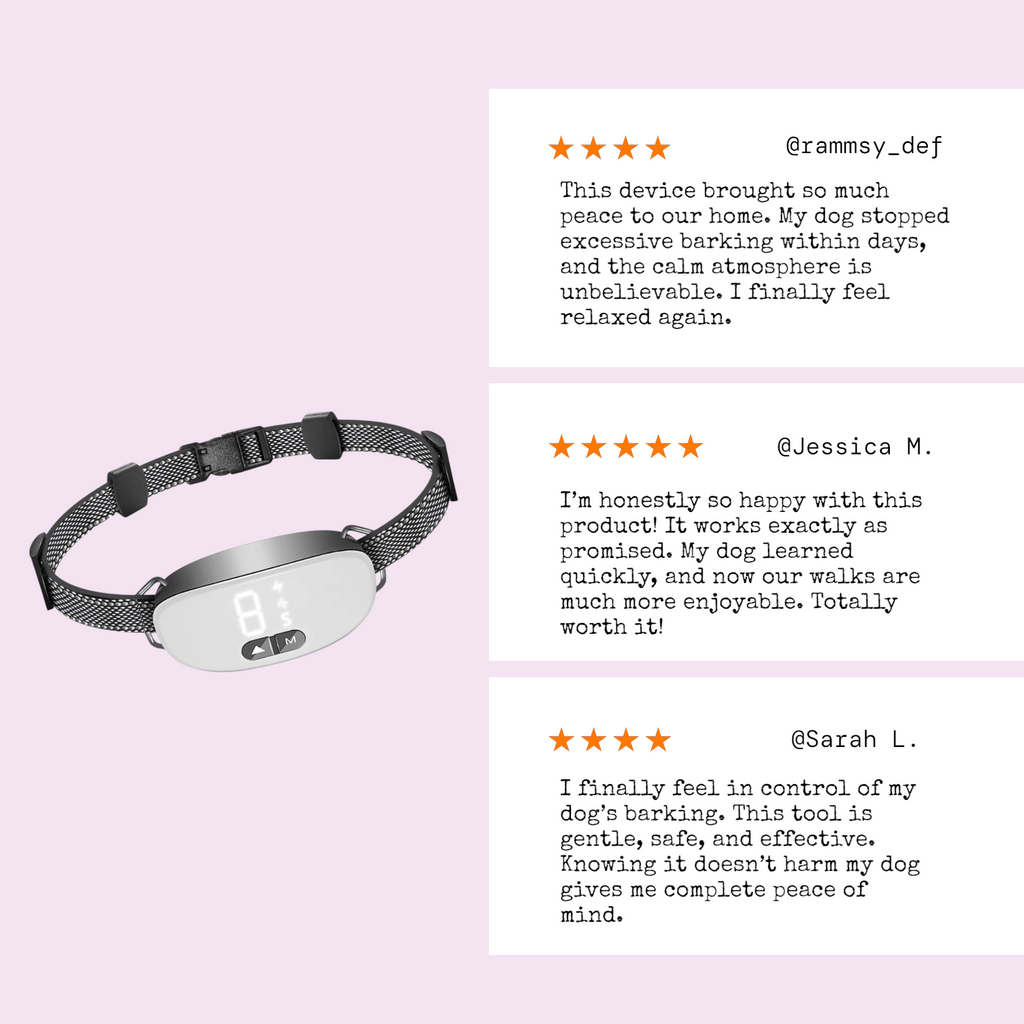 Smart Dog Bark Collar