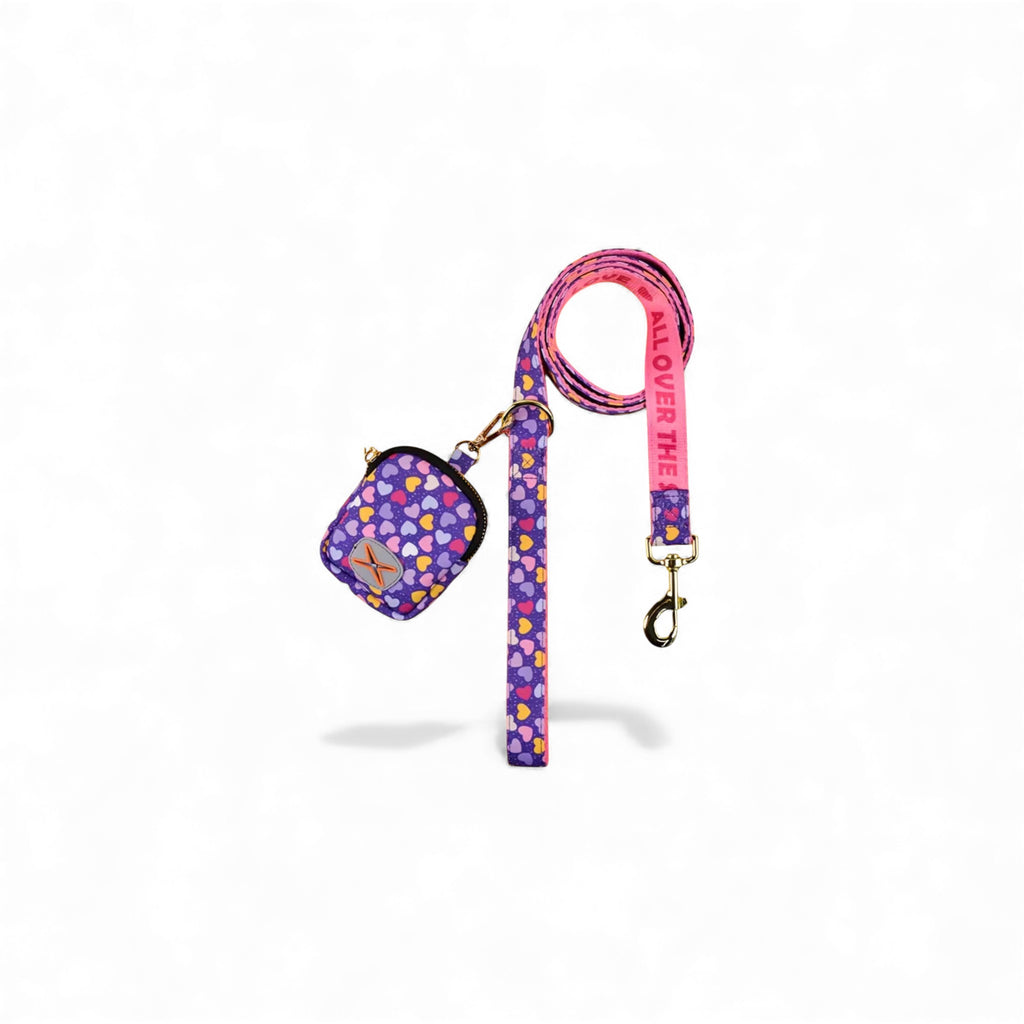 Pet Leash with Waste Bag Holder