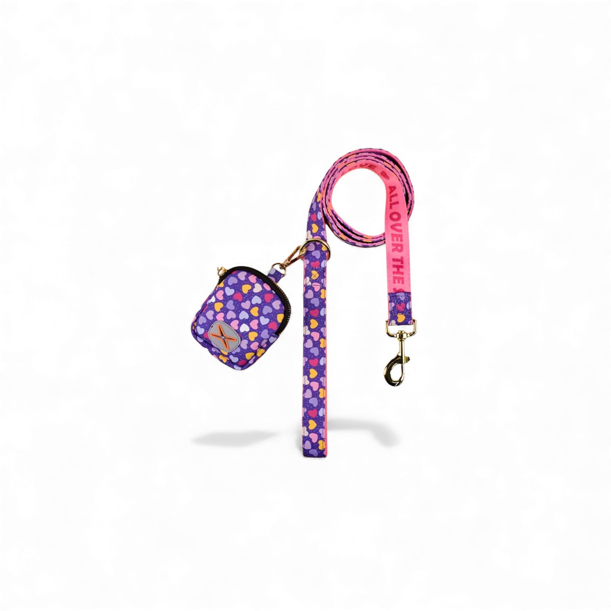 Pet Leash with Waste Bag Holder