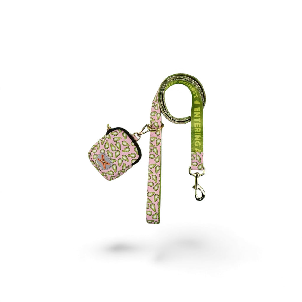 Pet Leash with Waste Bag Holder