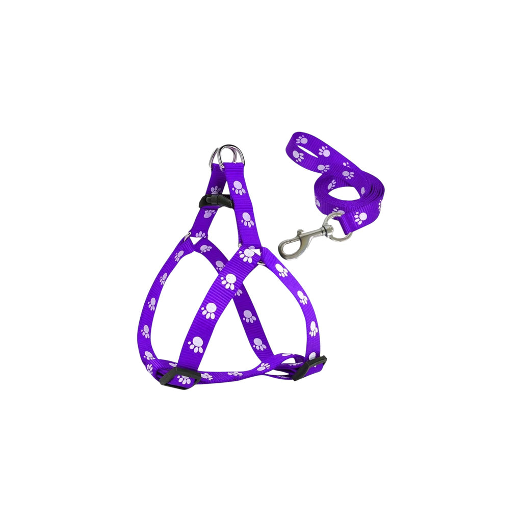 Paw Design Dog Harness & Leash