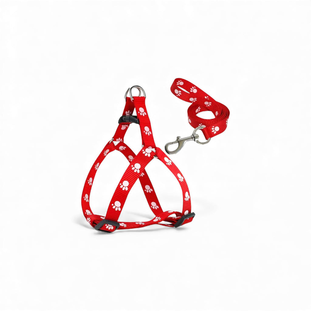 Paw Design Dog Harness & Leash
