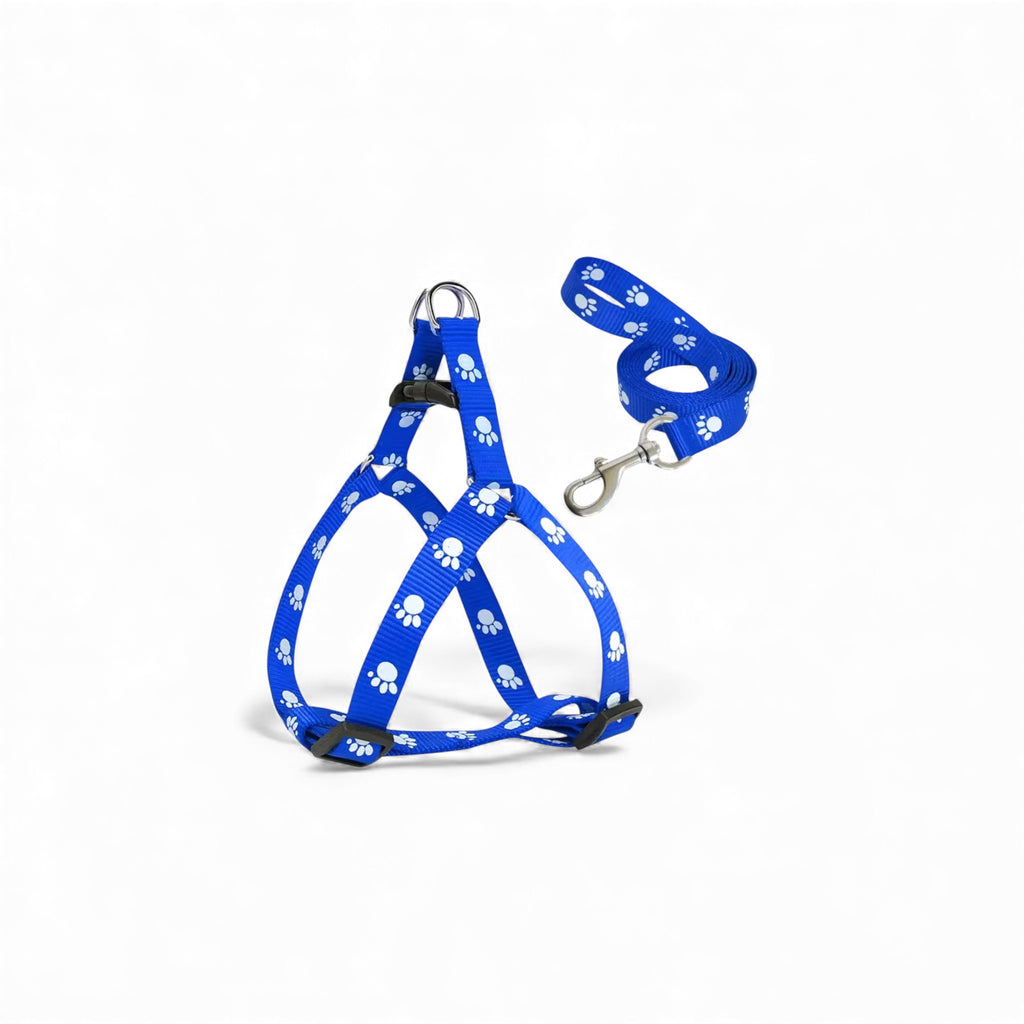 Paw Design Dog Harness & Leash