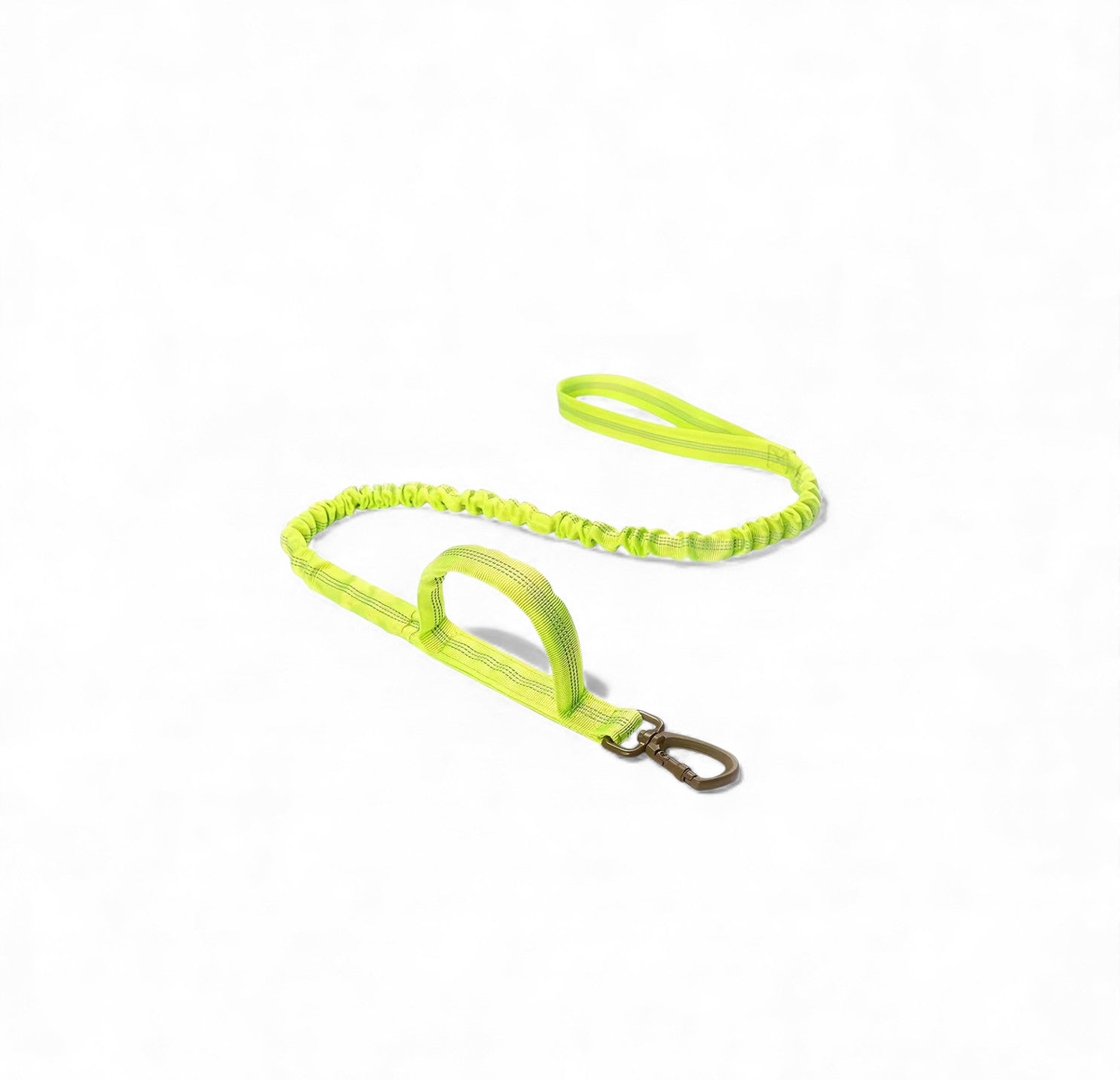 Elastic Bungee Leash