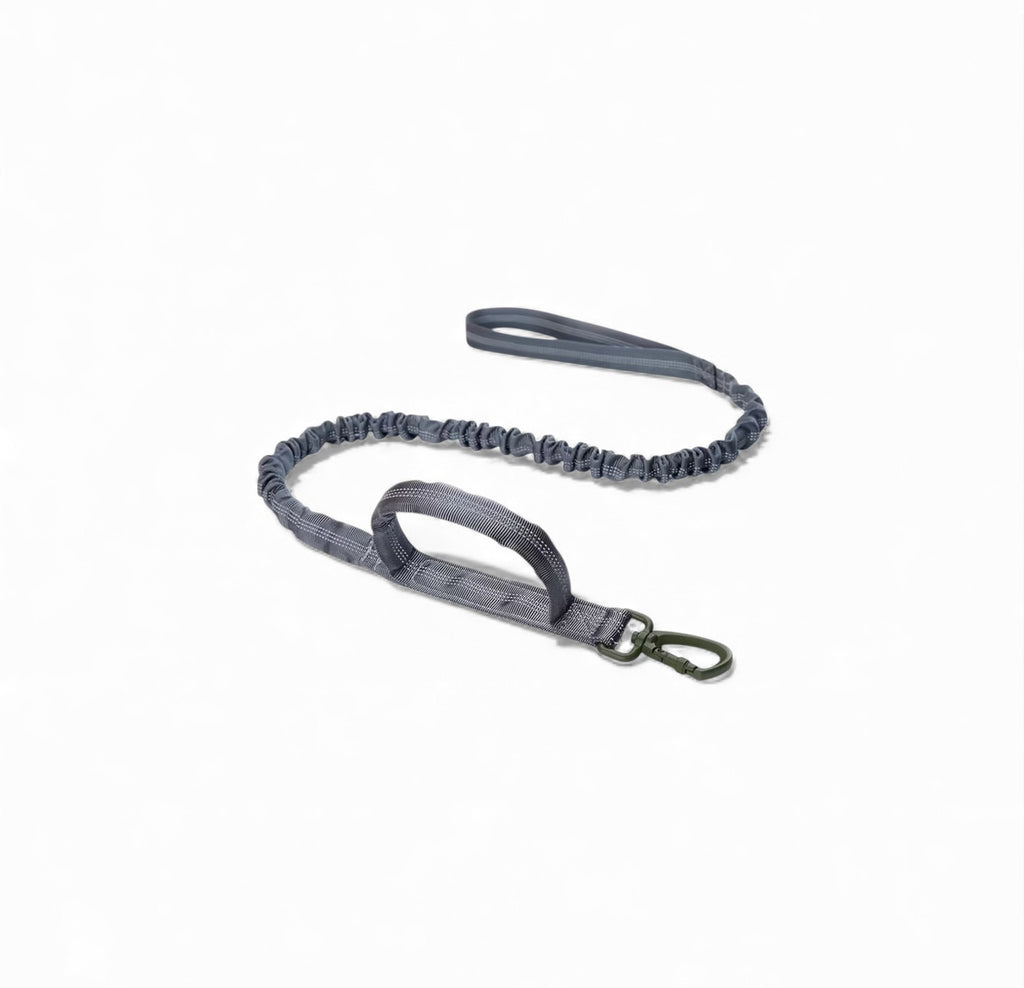 Elastic Bungee Leash