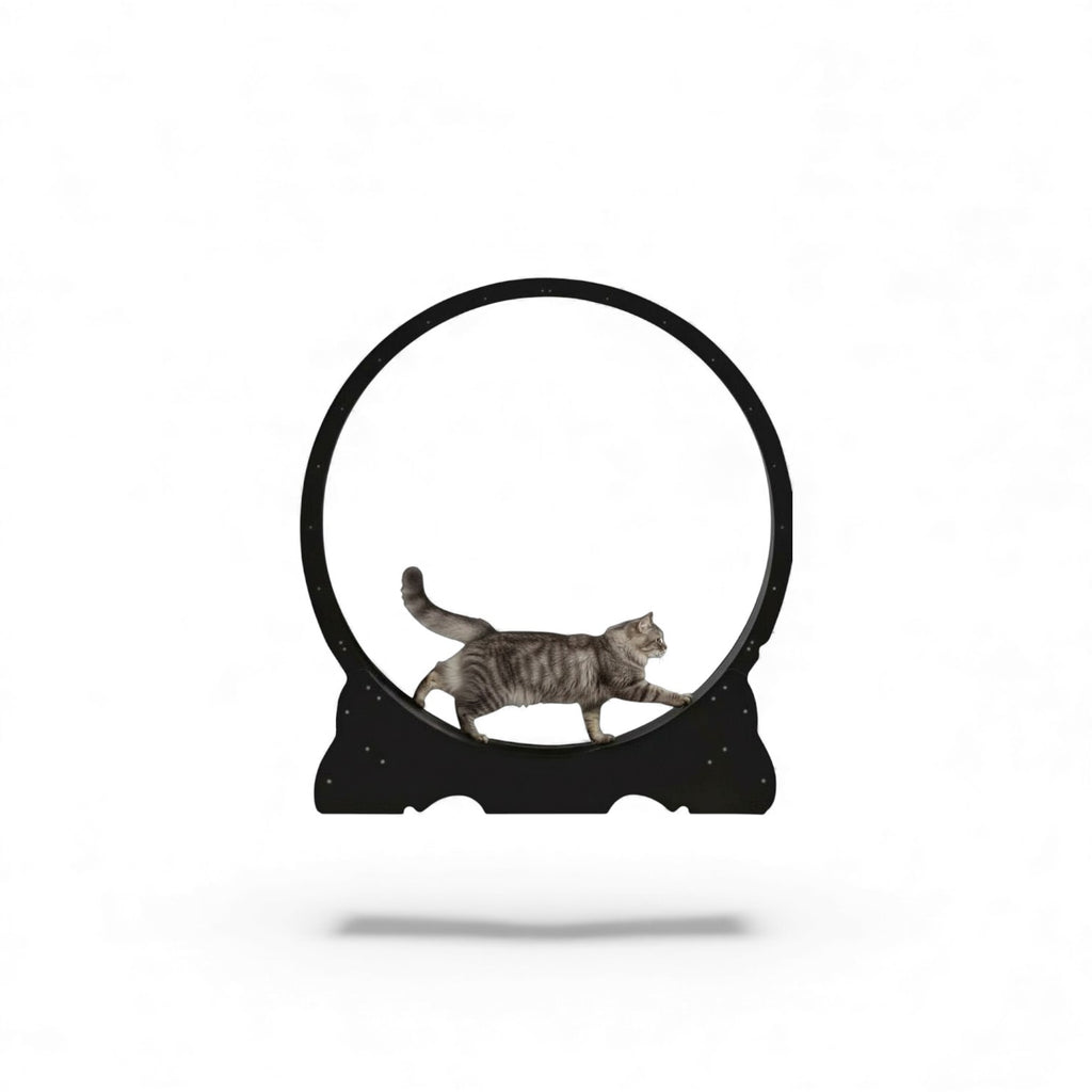 Cat Scratching Wheel