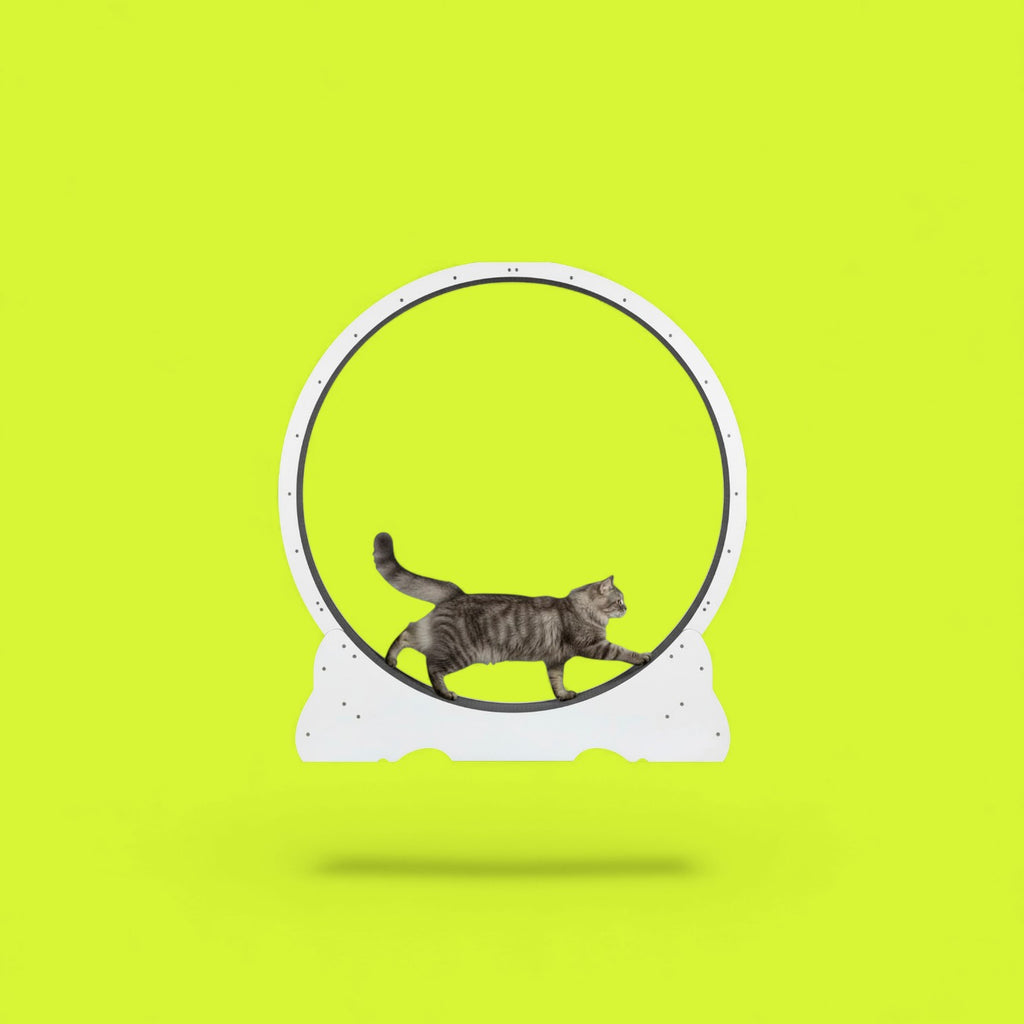Cat Scratching Wheel