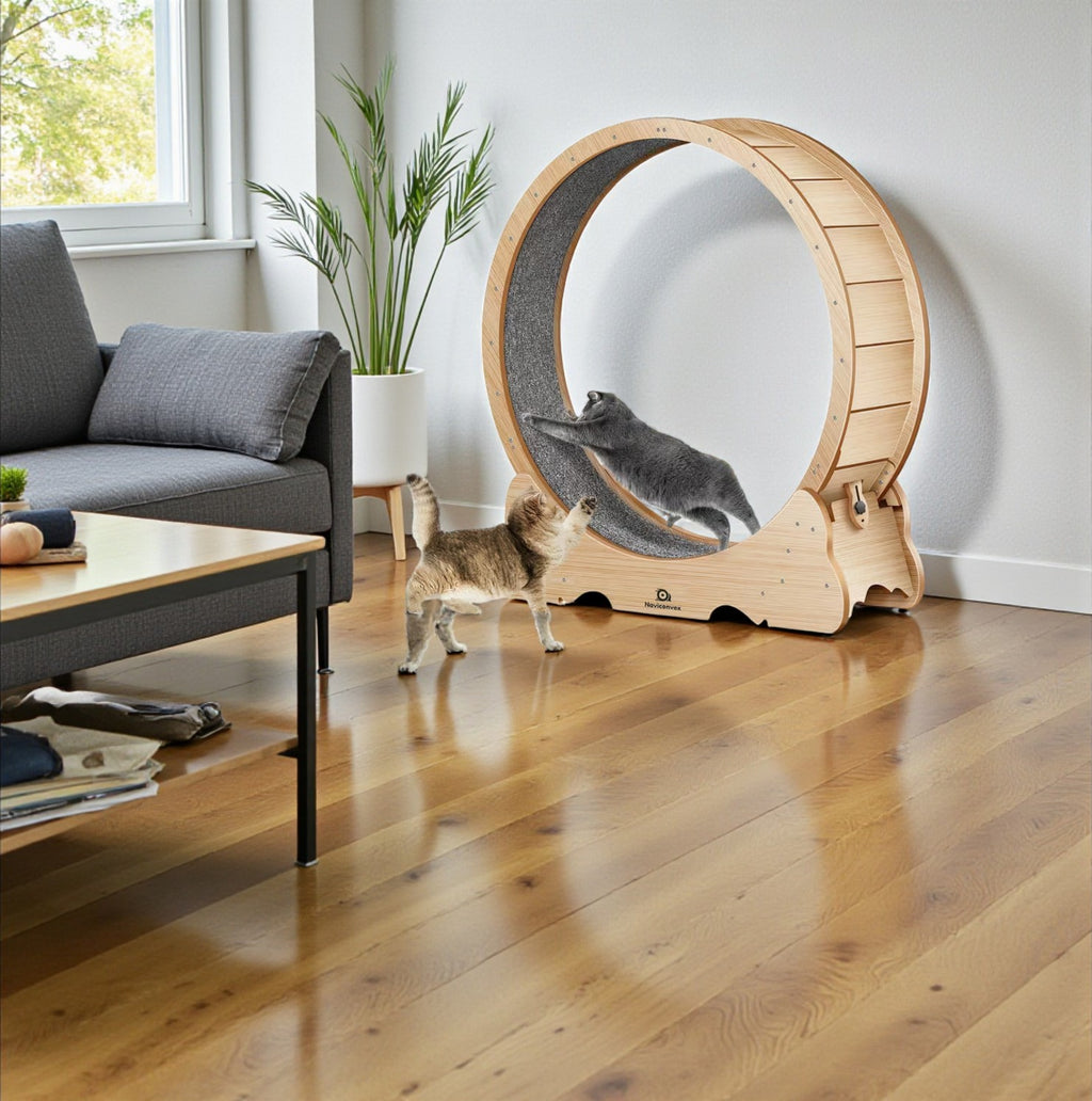 Cat Scratching Wheel