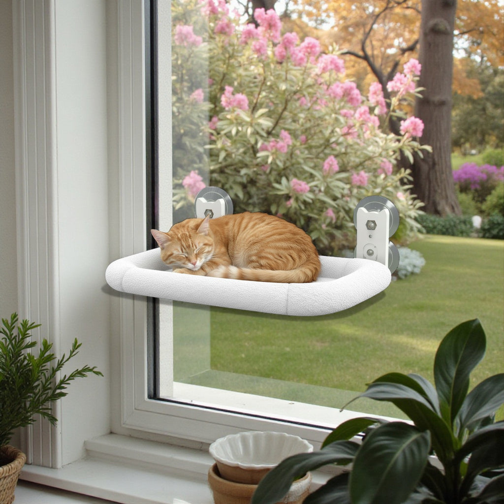 Cat Window Hammock