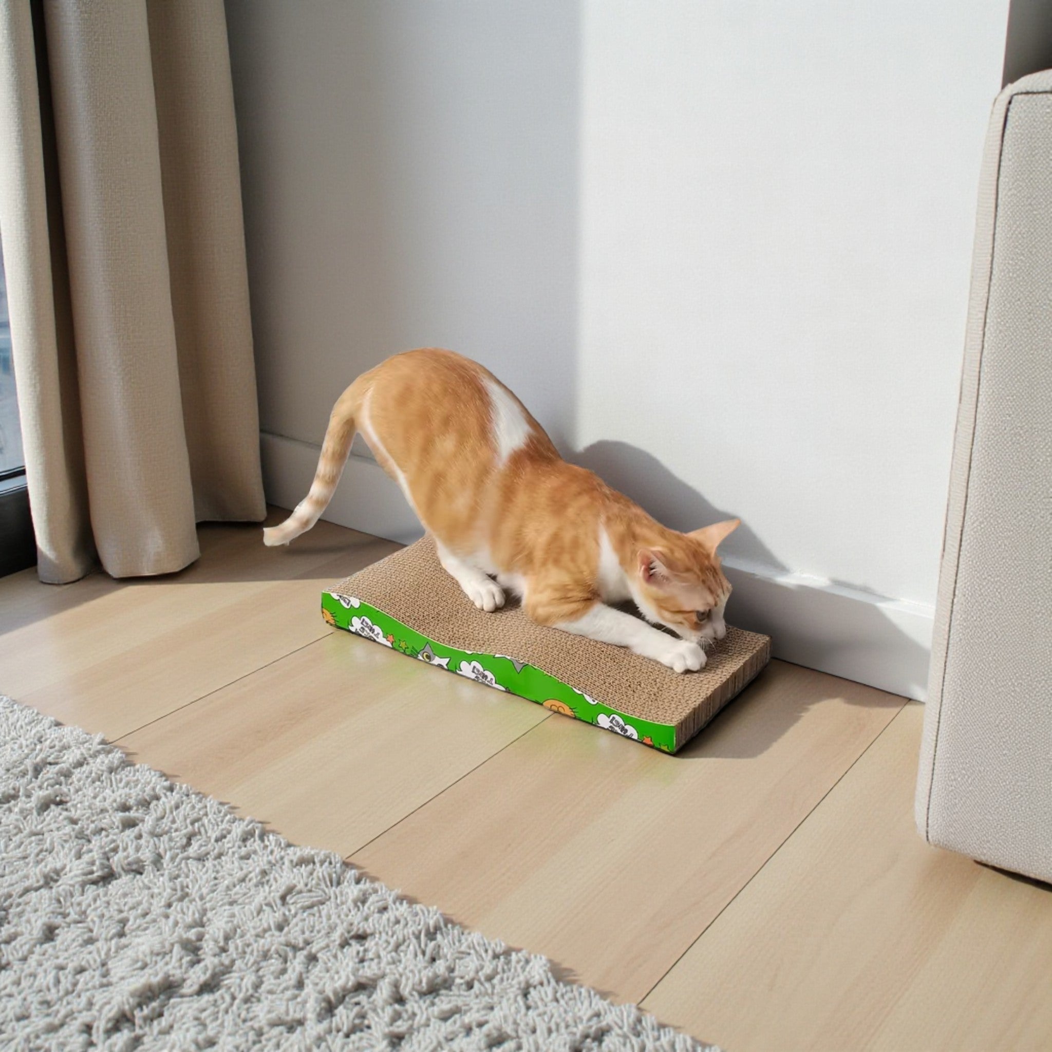 Cat Scratcher & Lounge Bed