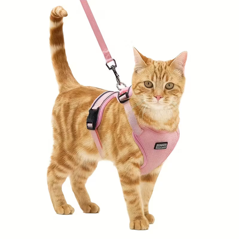 Cat Harness and Leash Set