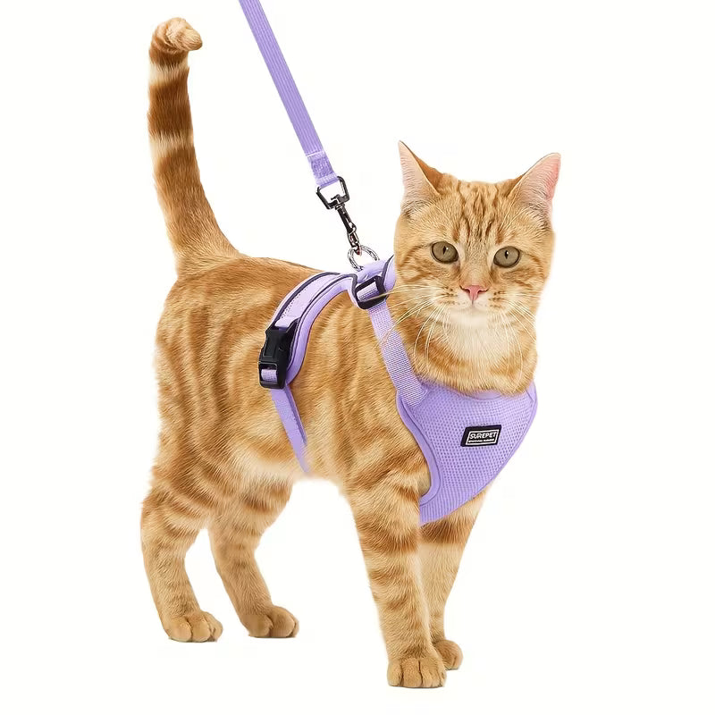 Cat Harness and Leash Set