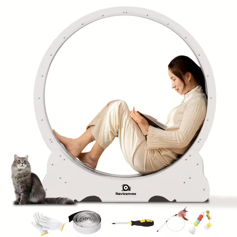Cat Scratching Wheel