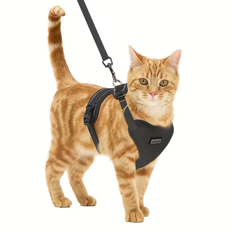 Cat Harness and Leash Set