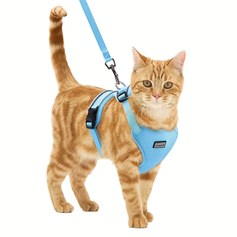 Cat Harness and Leash Set